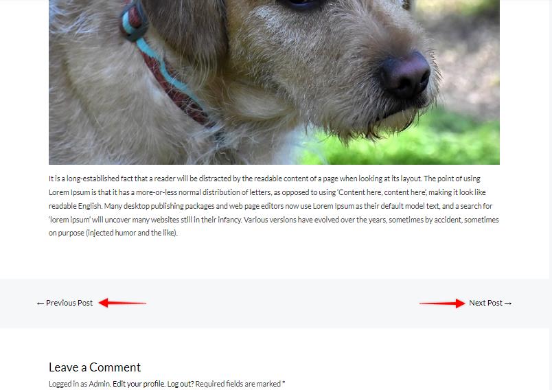 How to Remove Previous and Next Links From a Single Blog Post? Navigation Links