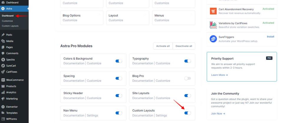 Now You Can Build Custom Layouts with Gutenberg! Ast_custom_layout_enable