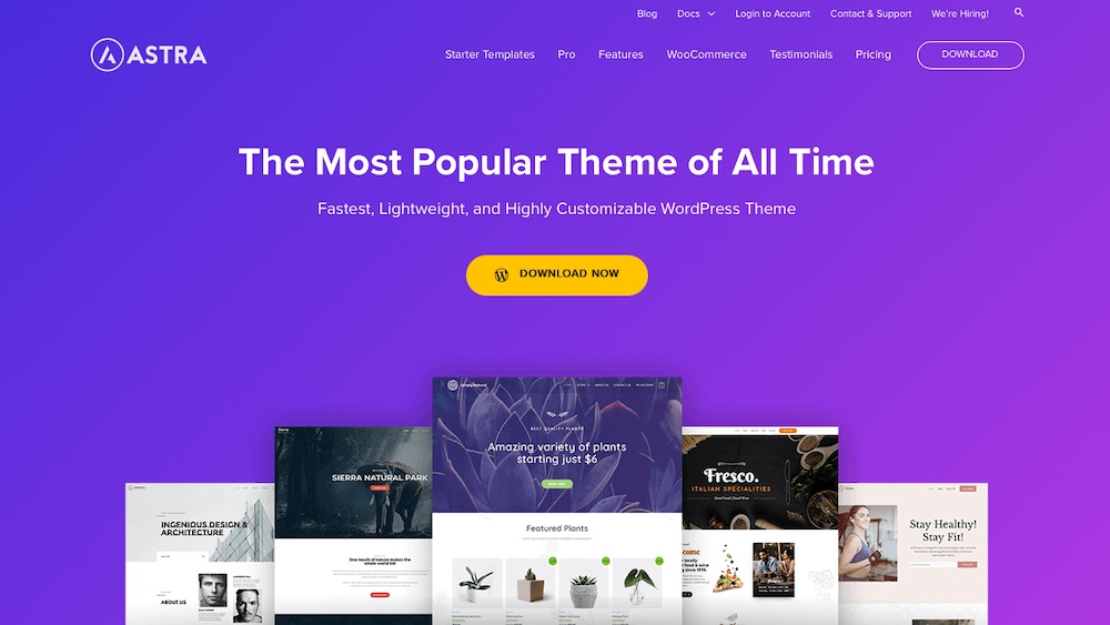 Putting Astra Alternatives to the Test: Which WordPress Themes Measure Up? Astra WordPress Theme