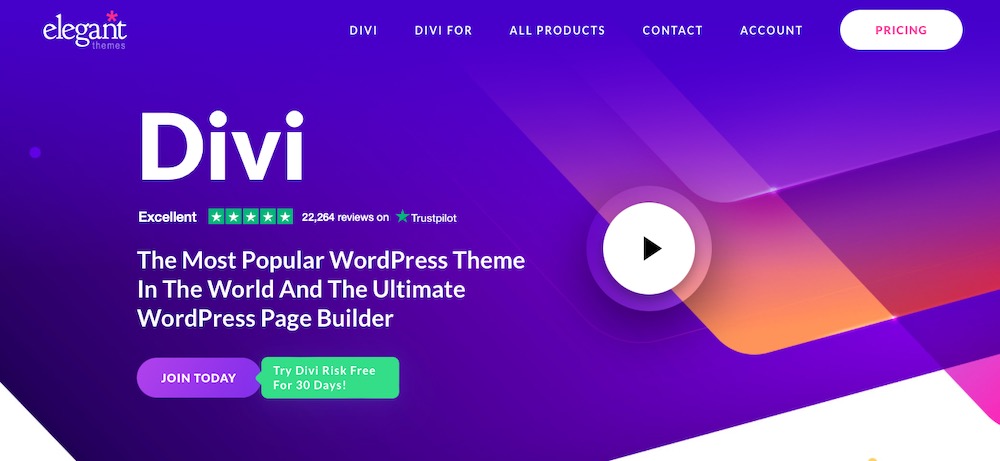 Putting Astra Alternatives to the Test: Which WordPress Themes Measure Up? Divi