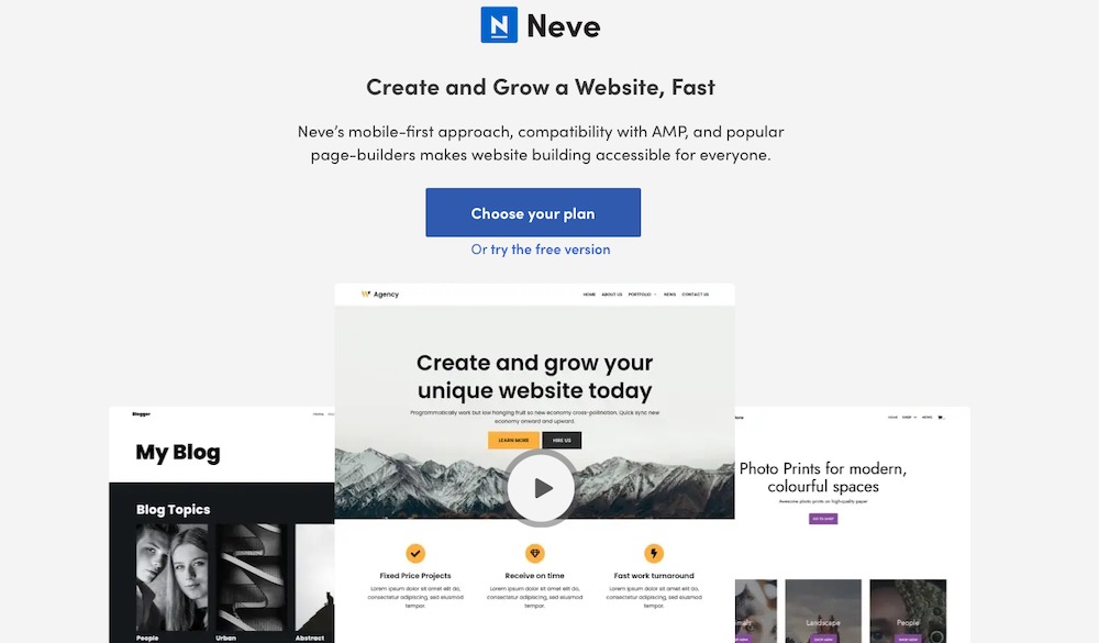 Putting Astra Alternatives to the Test: Which WordPress Themes Measure Up? neve