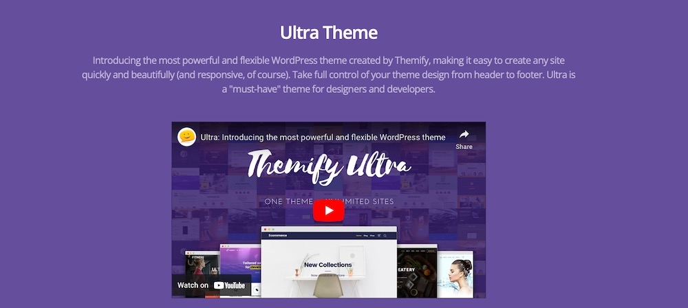 Putting Astra Alternatives to the Test: Which WordPress Themes Measure Up? Ultra