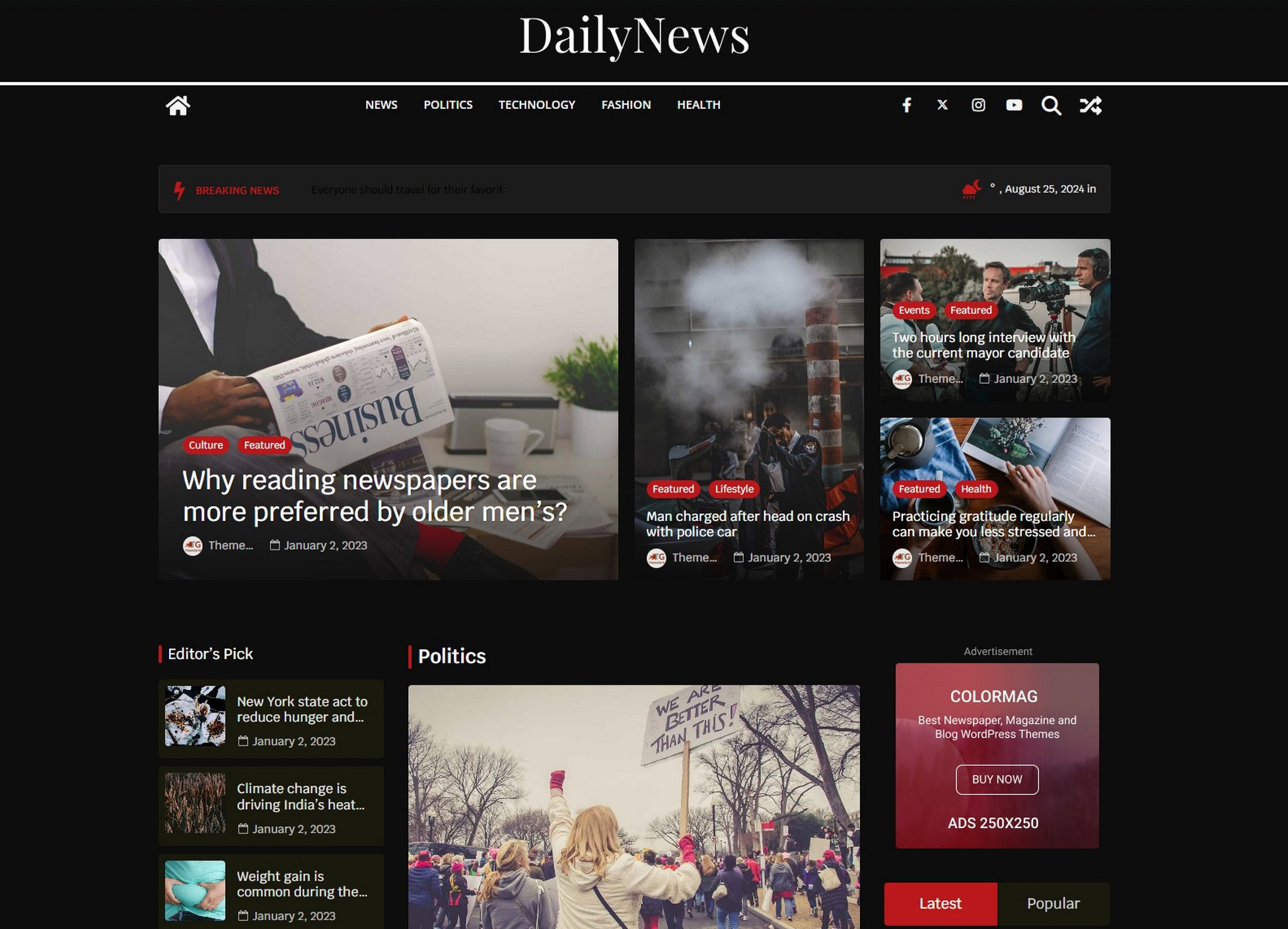 28 Best WordPress Premium Themes: Does Cost Equal Quality? ColorMag