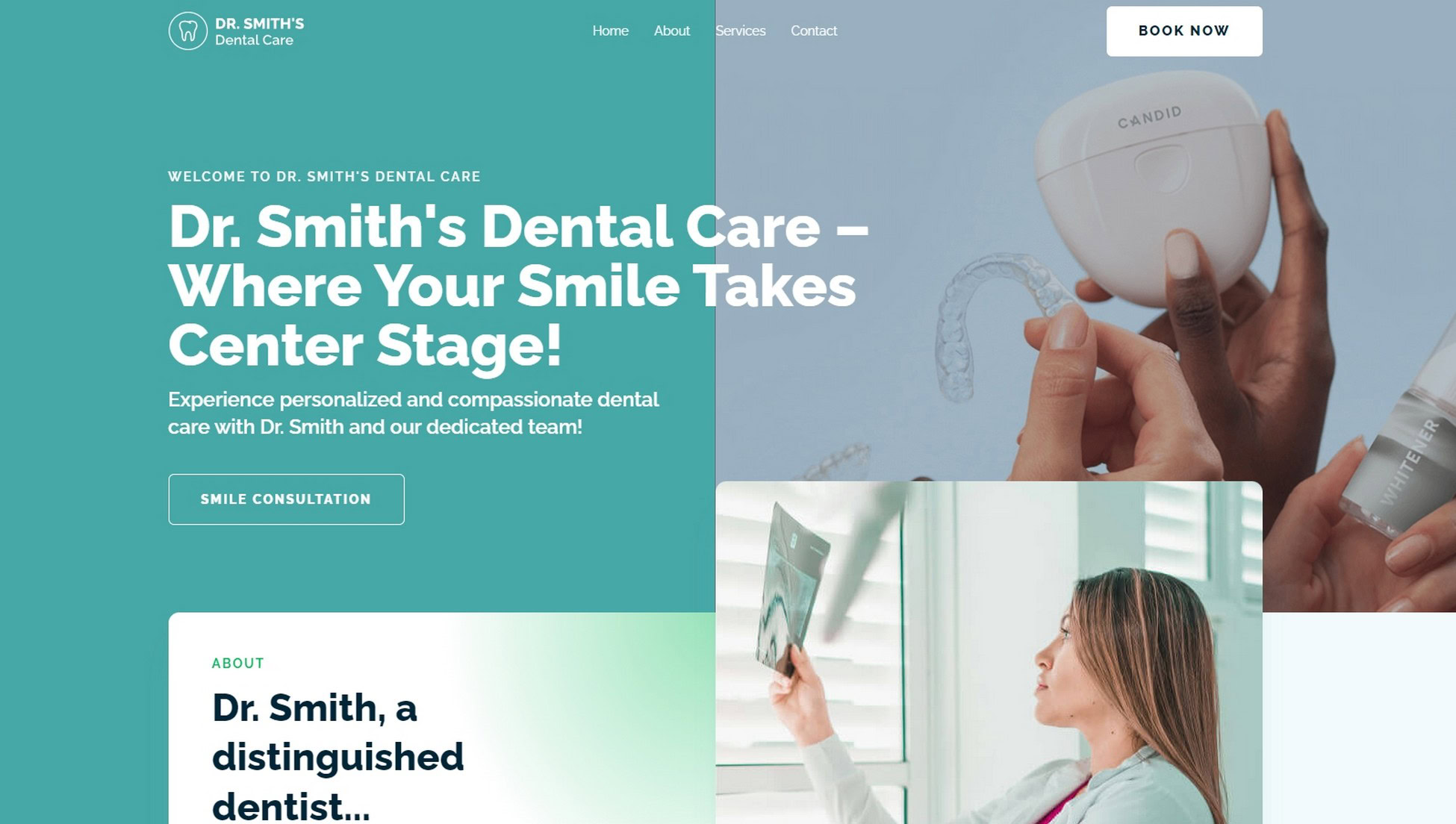 28 Best WordPress Premium Themes: Does Cost Equal Quality? Dentalist