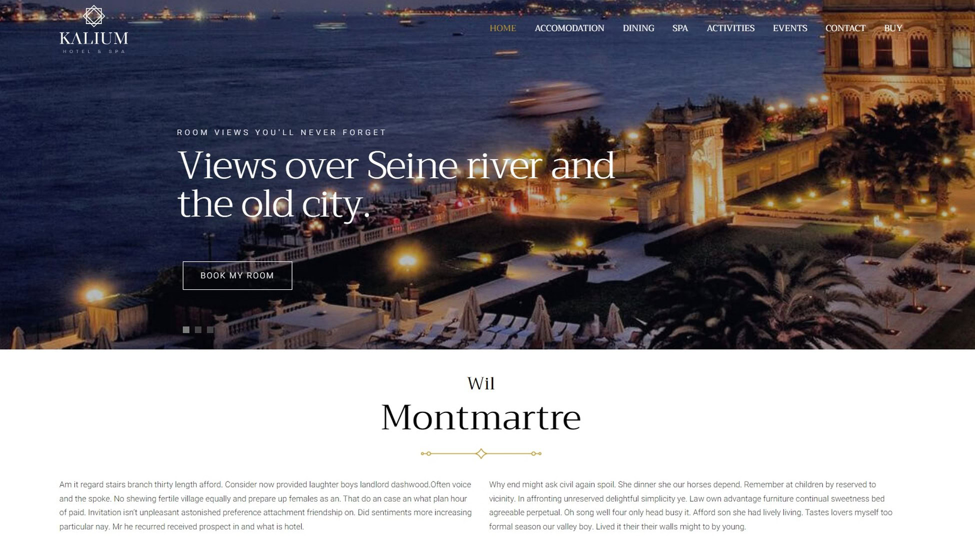 28 Best WordPress Premium Themes: Does Cost Equal Quality? Kalium