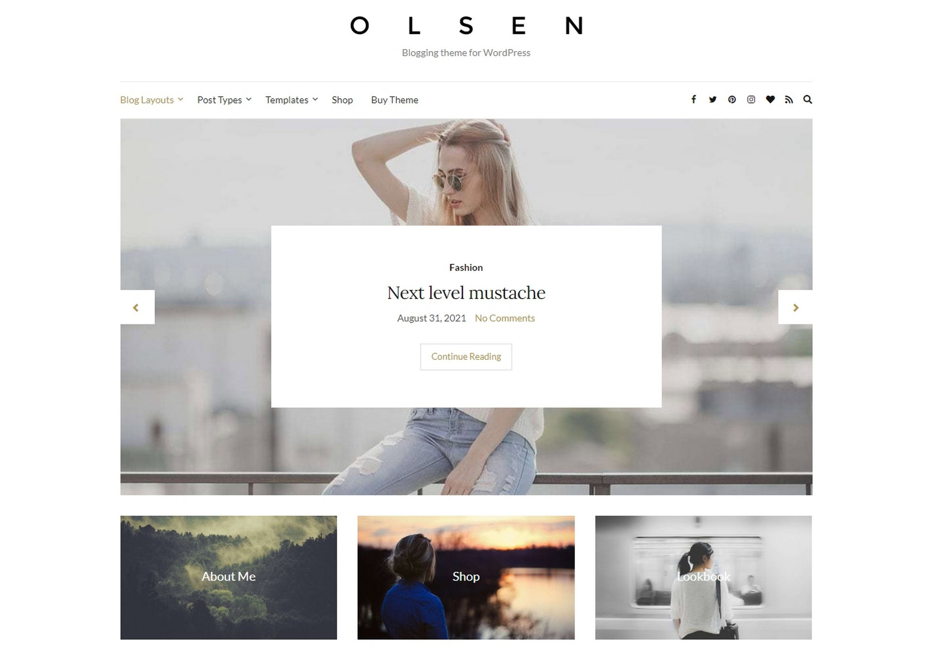 28 Best WordPress Premium Themes: Does Cost Equal Quality? Olsen