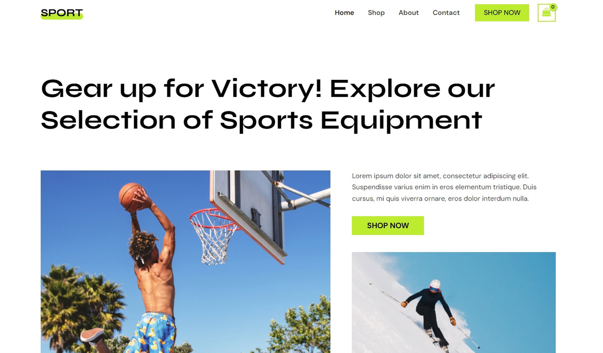 28 Best WordPress Premium Themes: Does Cost Equal Quality? Sports Equipment Store