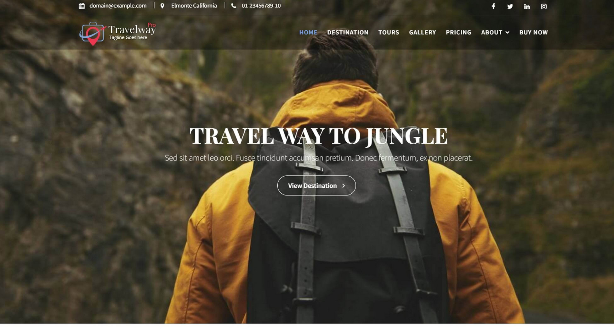 28 Best WordPress Premium Themes: Does Cost Equal Quality? Travel Way Pro