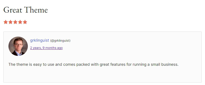 28 Best WordPress Premium Themes: Does Cost Equal Quality? What people think of Travel Way Pro