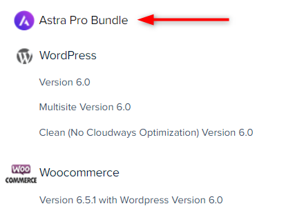 How To Build a WordPress Website Using Astra Pro and Cloudways Hosting Astra Pro Bundle