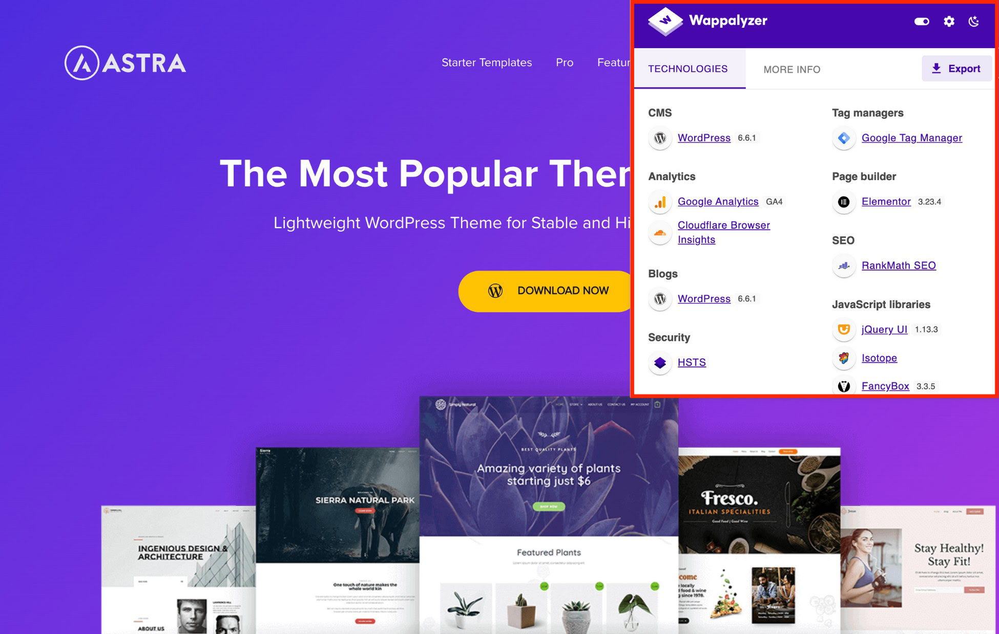 38 Best Chrome Extensions for Developers to Supercharge Productivity Wappalyzer
