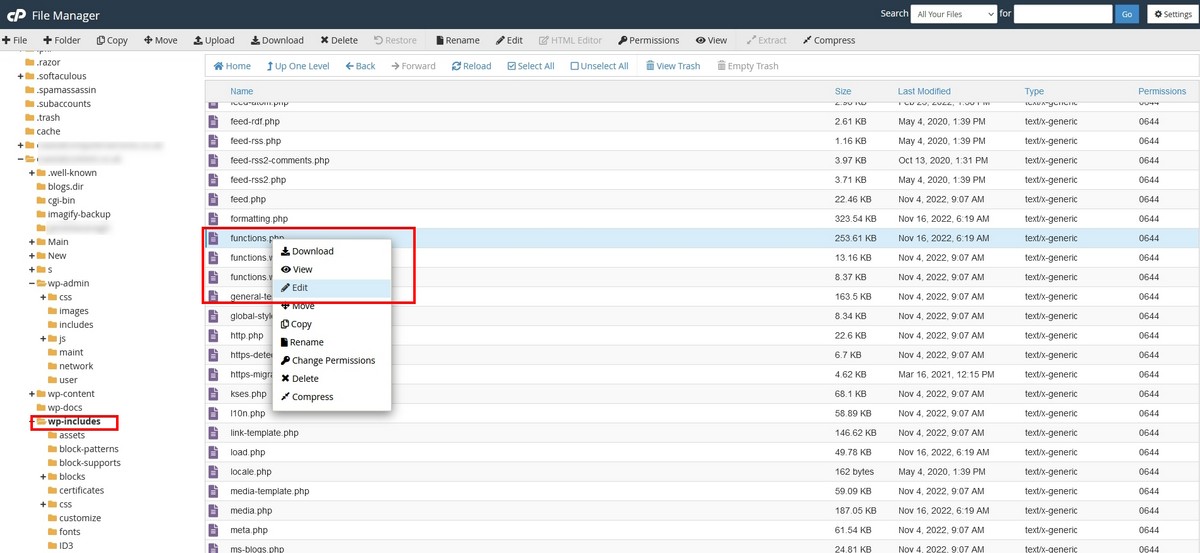 9 Situations That Strike Fear Into WordPress Administrators (And How To Avoid Them) WordPress file functions.php