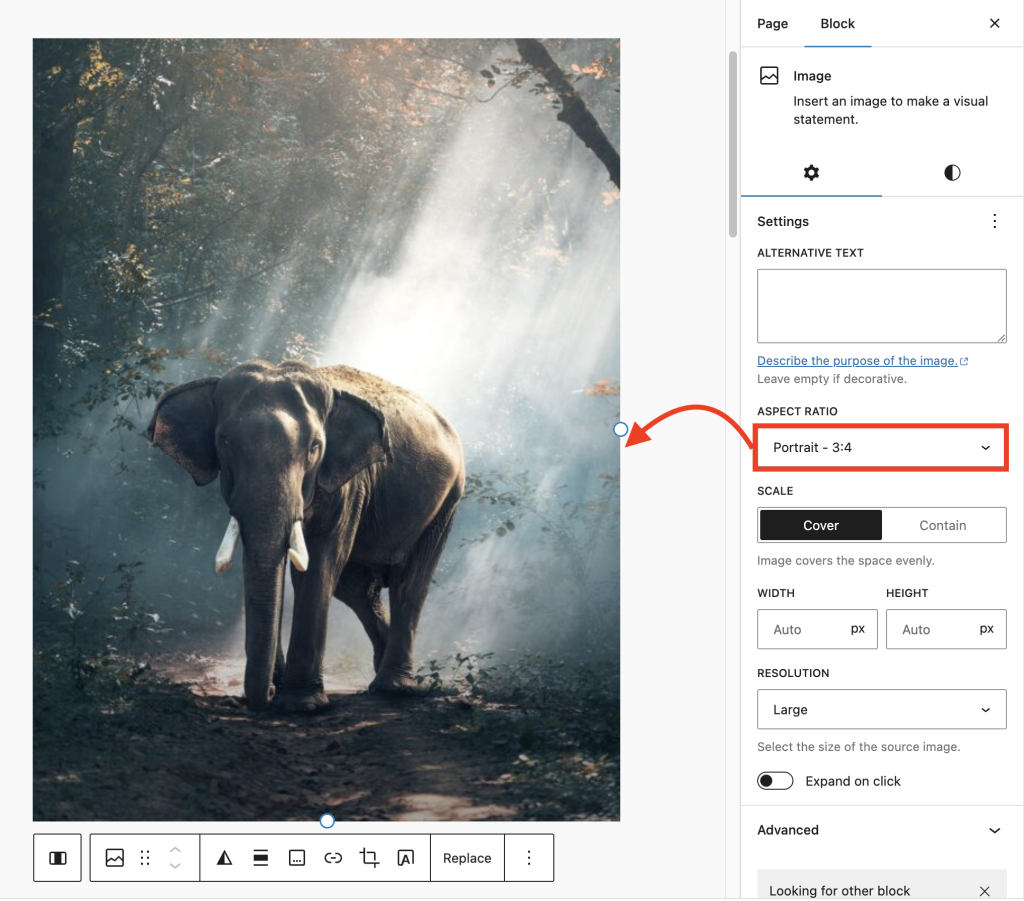 WordPress 6.4 - Features to Expect (First Look and Screenshots) Adjust Image Ratio Automatically 1024x901