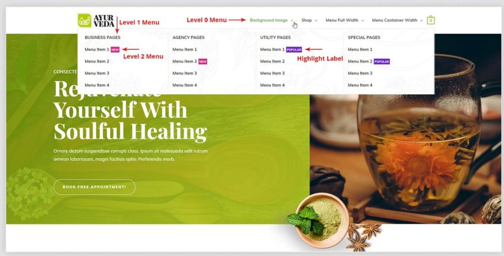 Black Friday Website Examples + Readymade BFCM Templates Astra Mega Menu