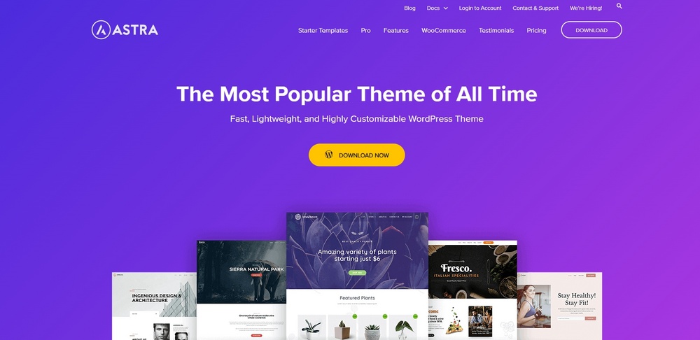 8 Important Reasons To Avoid Using Nulled WordPress Plugins Astra website