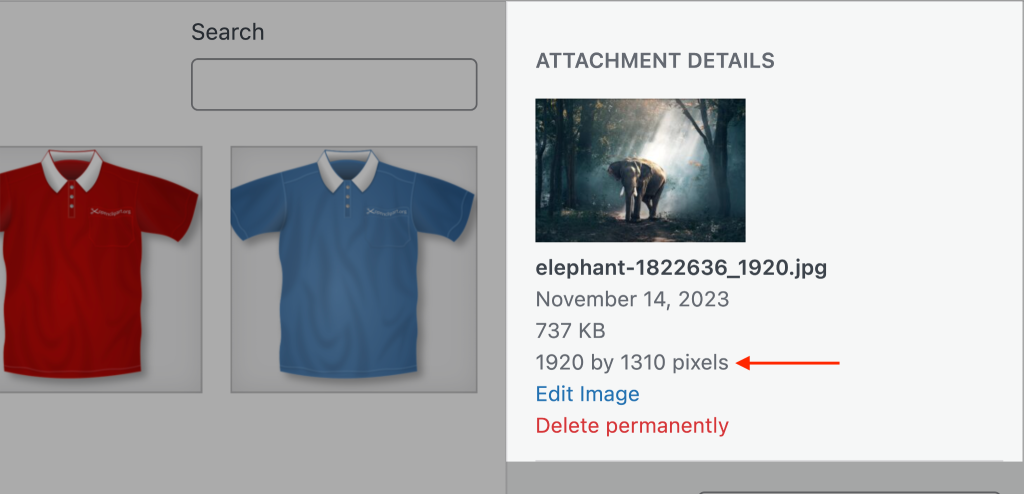 WordPress 6.4 - Features to Expect (First Look and Screenshots) Example Image Ratio 1024x494