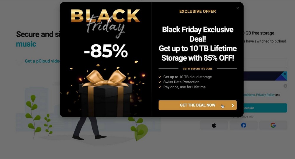Black Friday Website Examples + Readymade BFCM Templates pCloud Popup