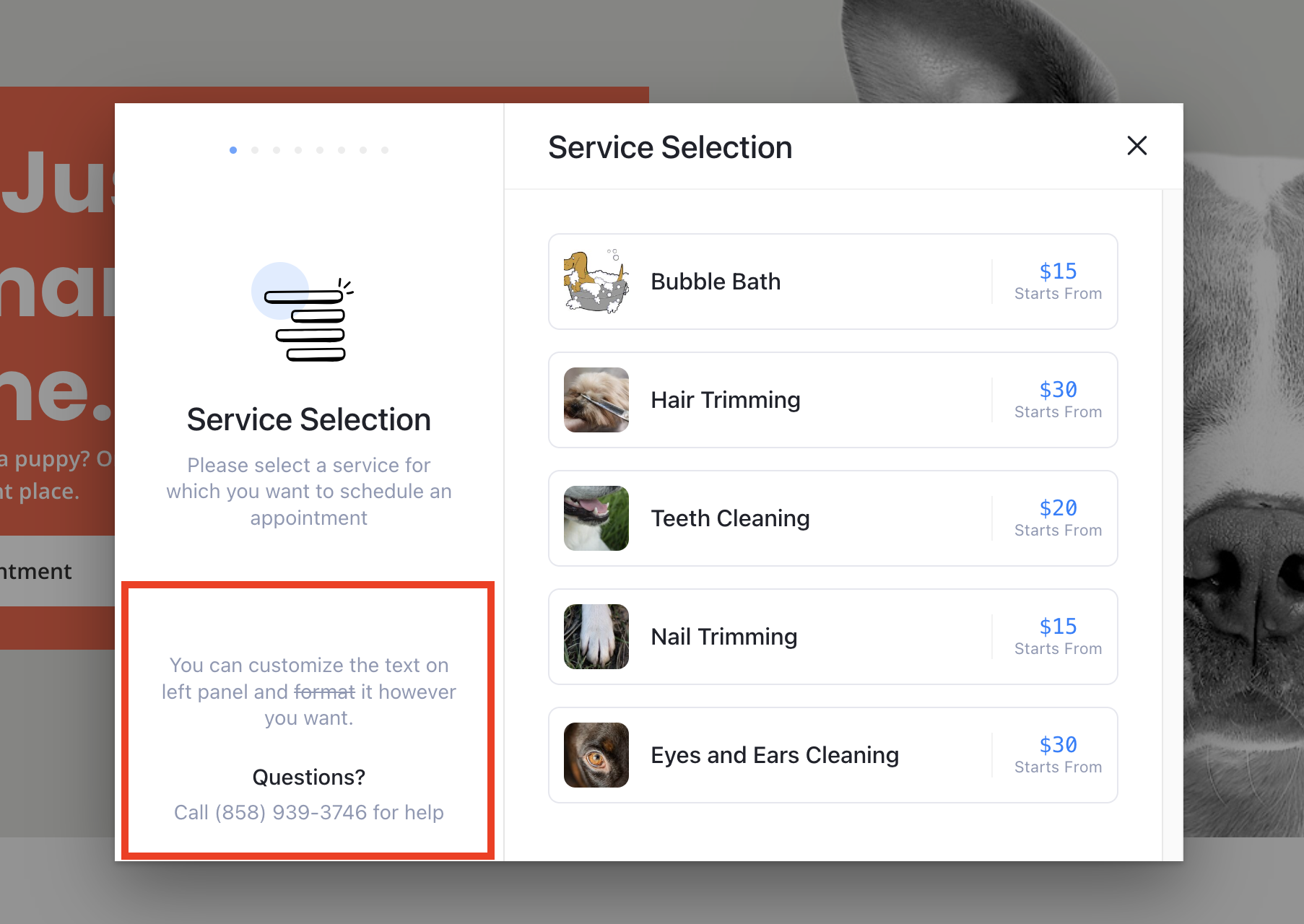 LatePoint Review: Is It the Right Booking Plugin For Your Service? LatePoint booking form helpful information