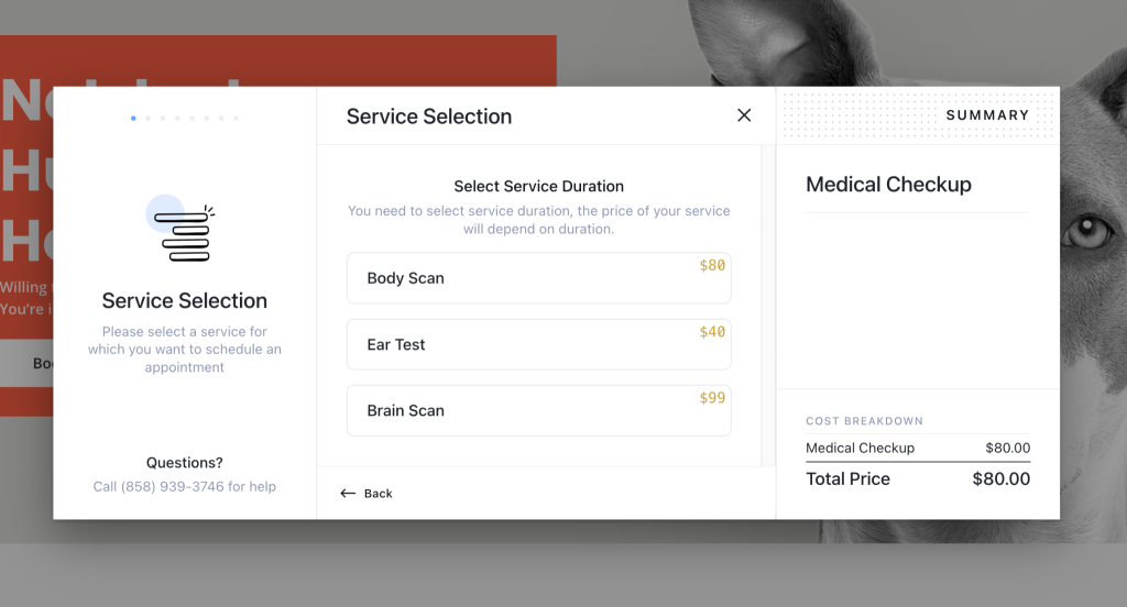 LatePoint Review: Is It the Right Booking Plugin For Your Service? LatePoint service selection frontend