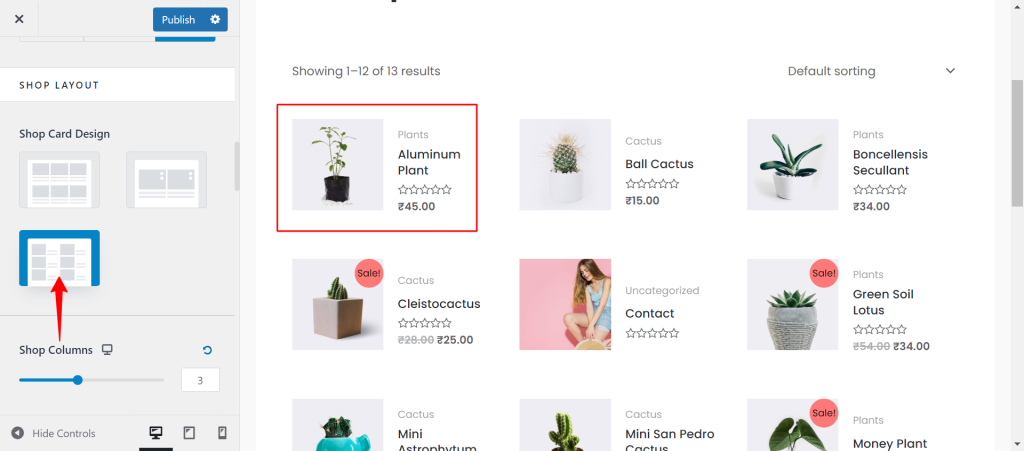 How to Design a Product Catalog Page or Shop Page Using WooCommerce Module in Astra? Word Image 128843 5 1024x451