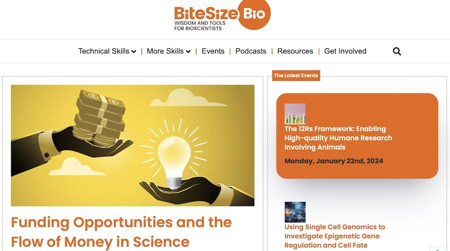 30+ Membership Website Examples That Created Devoted Fans bitesize bio