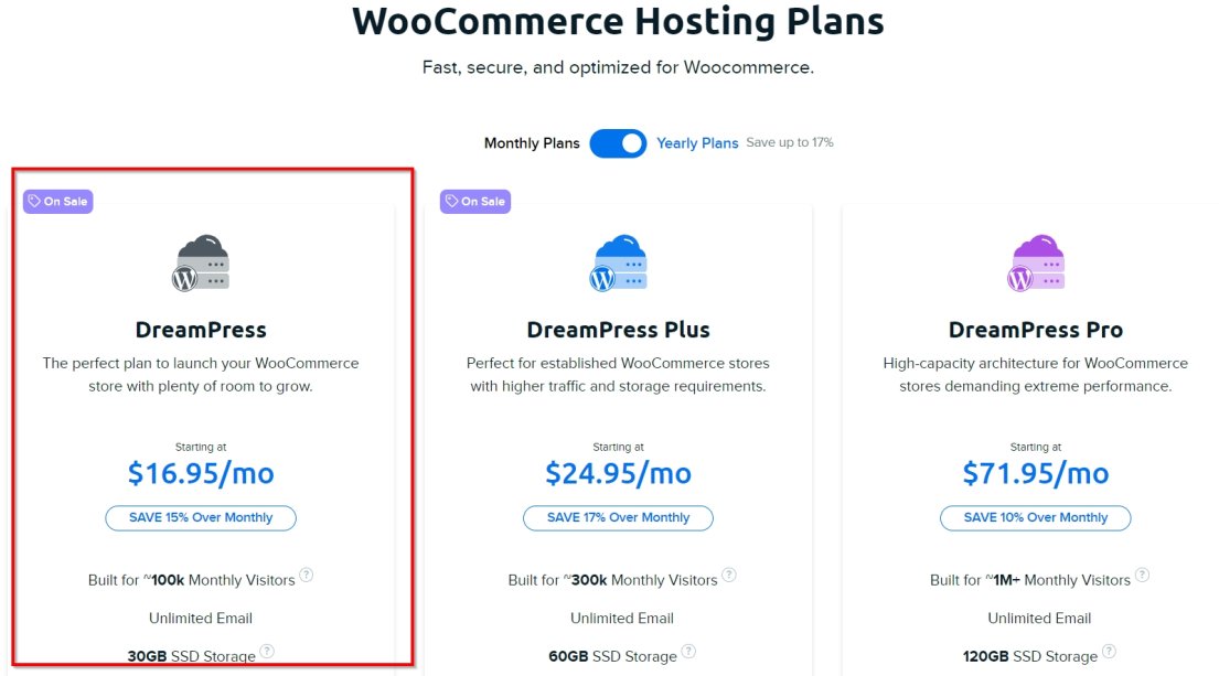 How to Start an Online Thrift Store: 6 Simple Steps to Profit dreampress wordpress plan