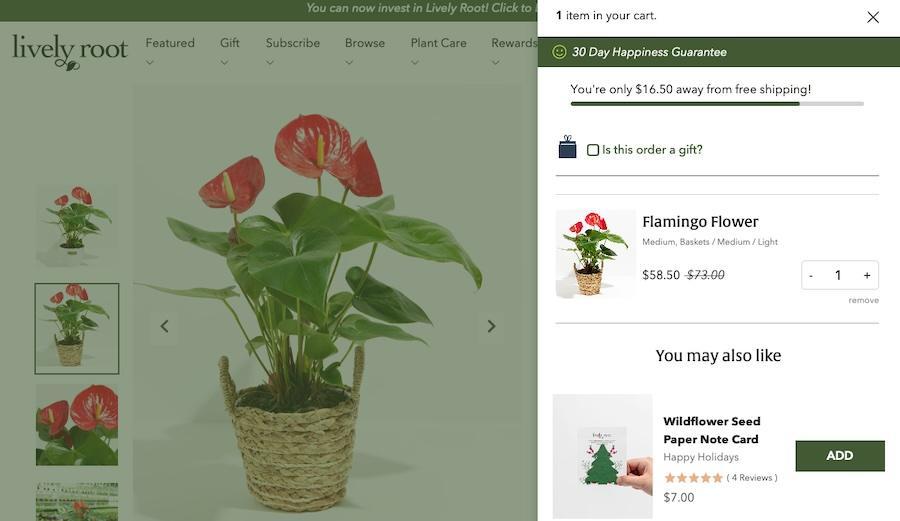 How To Set Up WooCommerce Order Bumps To Skyrocket Sales lively root