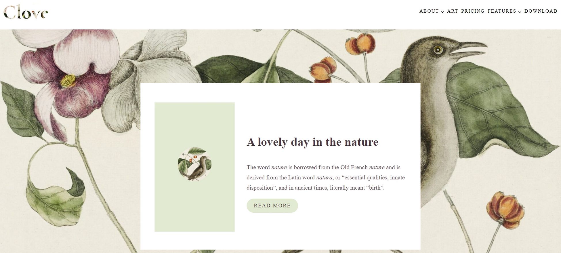 20 Best WordPress Block Themes For Effortless Full Site Editing Clove