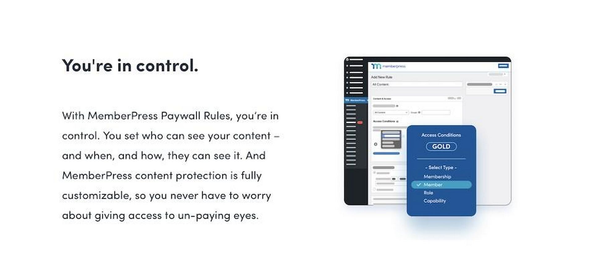 MemberPress or LearnDash: Are There Better Options Out There? memberpress paywall rules
