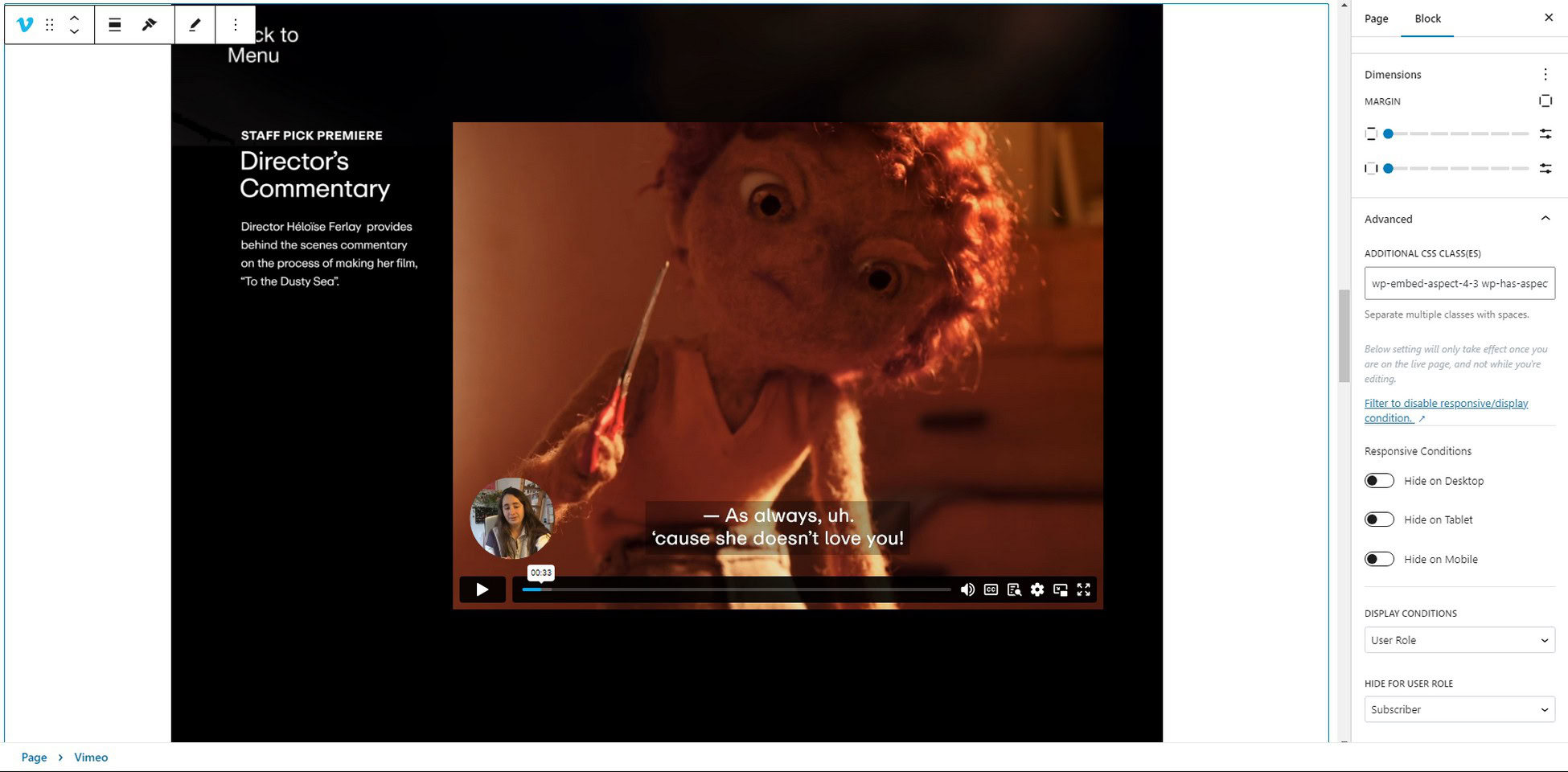 Website owners: Vimeo vs. YouTube - Is There a Better Option? vimeo-customization-options