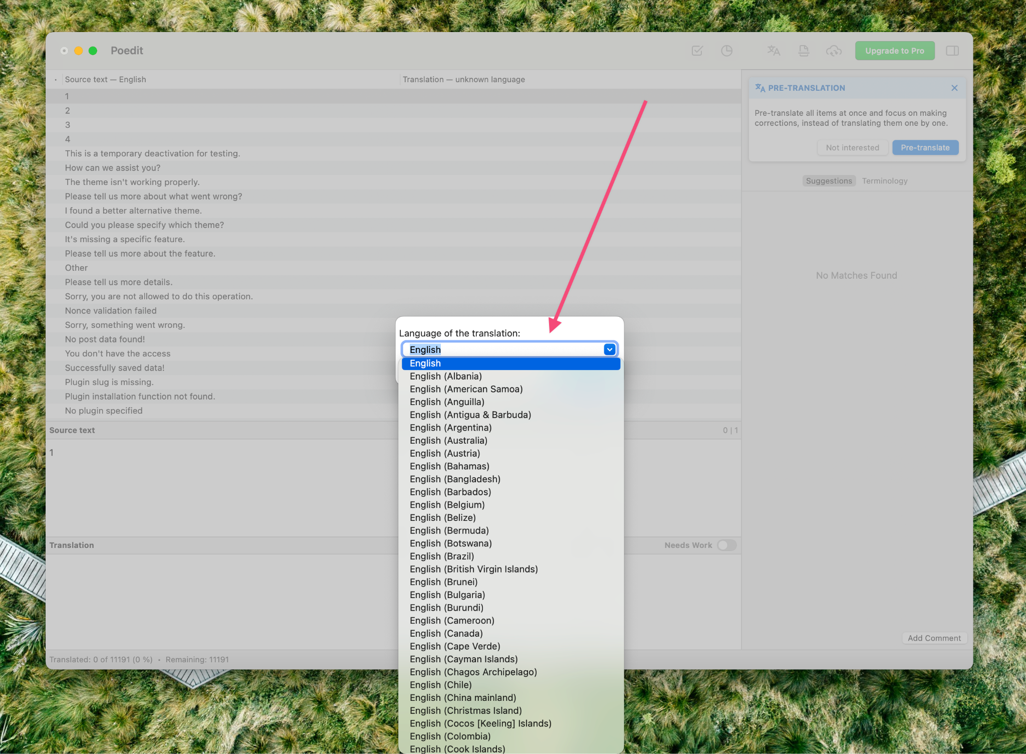 How to Use POEdit to Translate Astra Theme and Astra Pro Plugin Word Image 223129 2