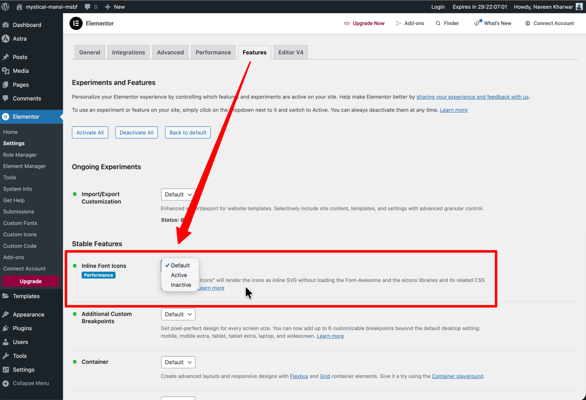 Improving Website Speed When Using Astra With Elementor Word Image 259672 4
