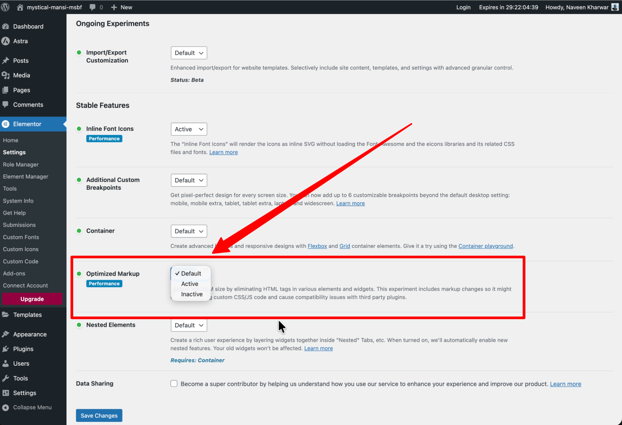 Improving Website Speed When Using Astra With Elementor Word Image 259672 5