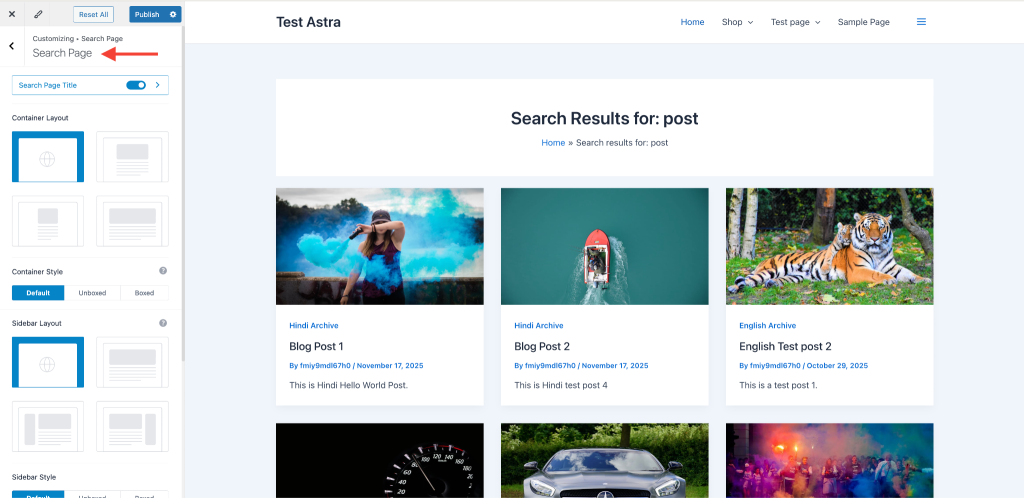 Search Page search page customization with Astra