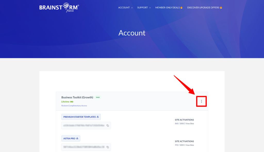 How to Download Your Purchase Invoice Brainstorm Force Account Dashboard